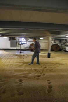 ./20100929-144503 (1).jpg